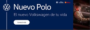 VW – POLO 300×100