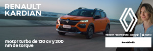 300×100